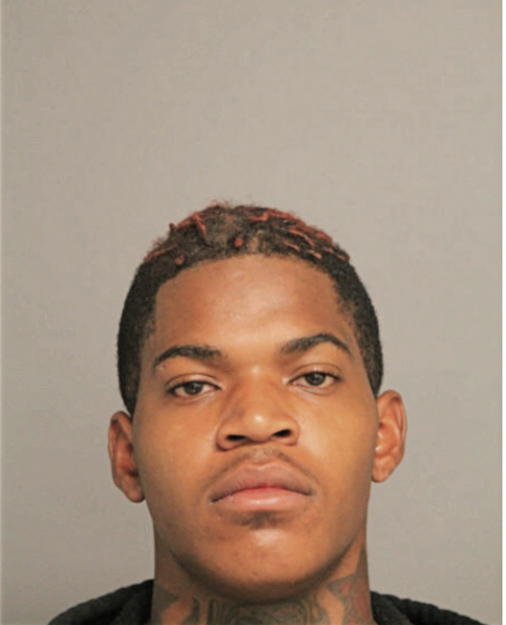 DARRELL A JOHNSON, Cook County, Illinois