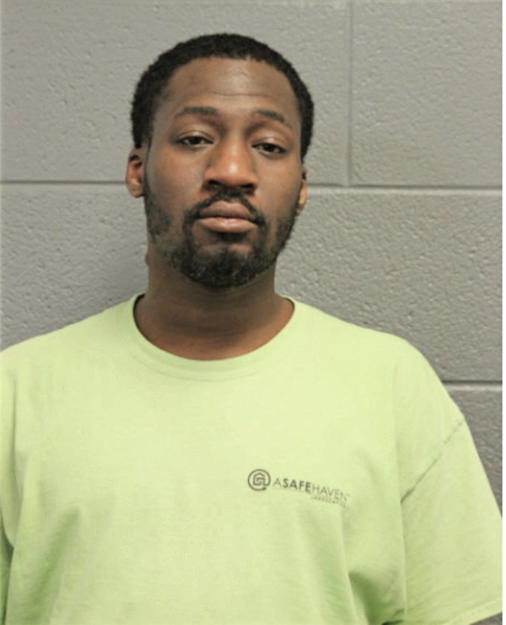 DAVID M JOHNSON, Cook County, Illinois
