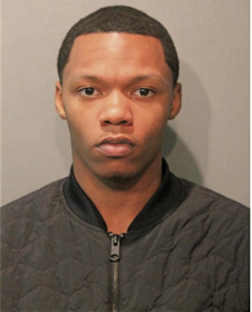 LARRY J LUCAS, Cook County, Illinois