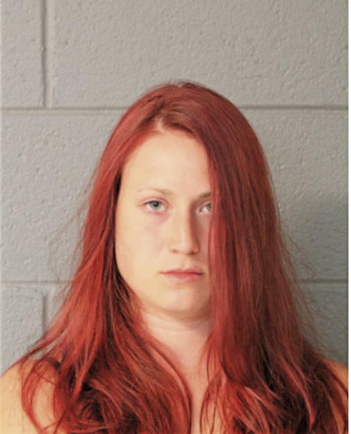 KRISTINE M MLINARCIK, Cook County, Illinois