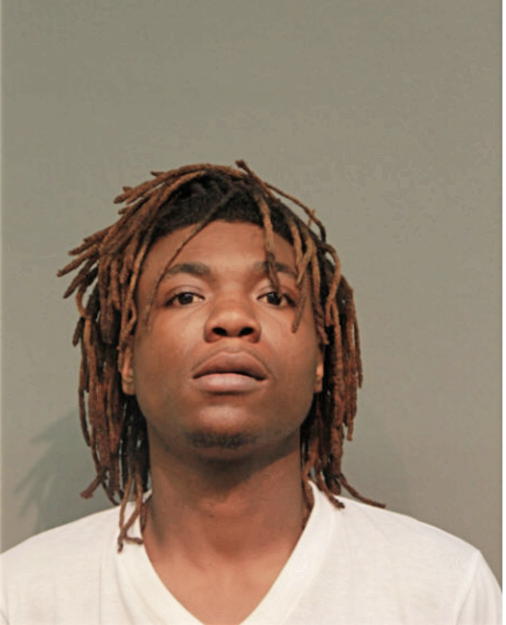 TERRANCE J PRICE, Cook County, Illinois