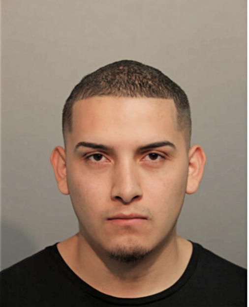 BRAYAN RUIZ-ALANIS, Cook County, Illinois
