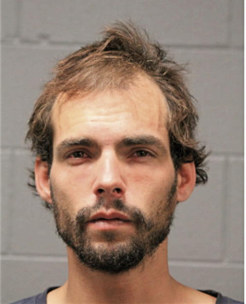 CHRISTOPHER WAYNE RYBERG, Cook County, Illinois