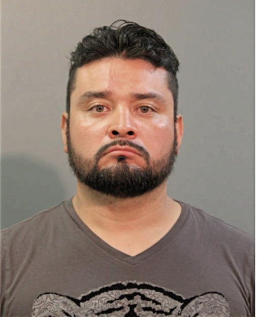 JORGE A SANCHEZ, Cook County, Illinois