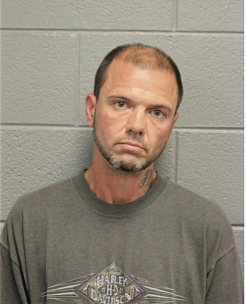 ANTHONY R SCHMIDT, Cook County, Illinois