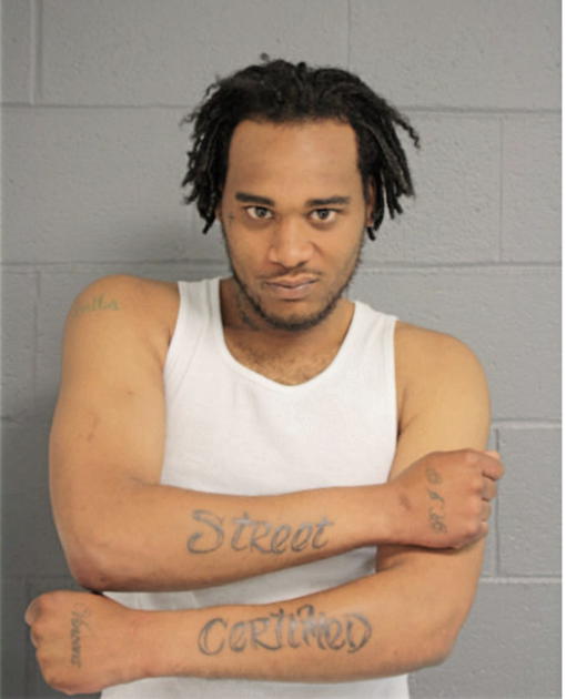 MICHAEL L STEWART, Cook County, Illinois