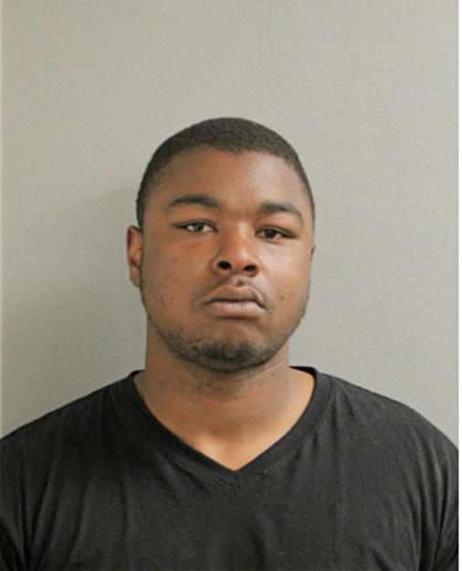 LAMARR D STONE, Cook County, Illinois