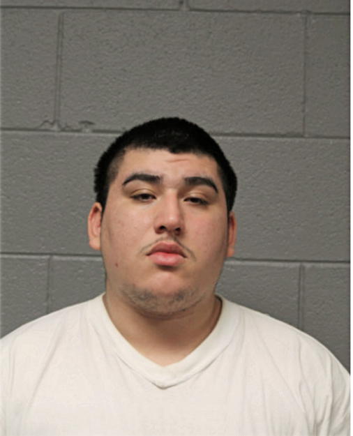 RAMON F TORRES, Cook County, Illinois