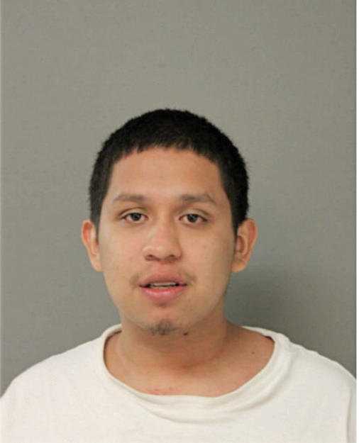 BERTIN VENCES, Cook County, Illinois