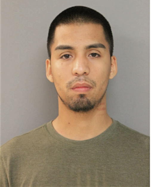 YOVANI ANDRADE, Cook County, Illinois