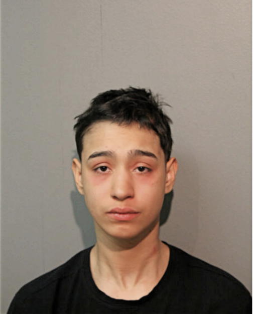 ANA MARIAPOLA ARREOLA, Cook County, Illinois