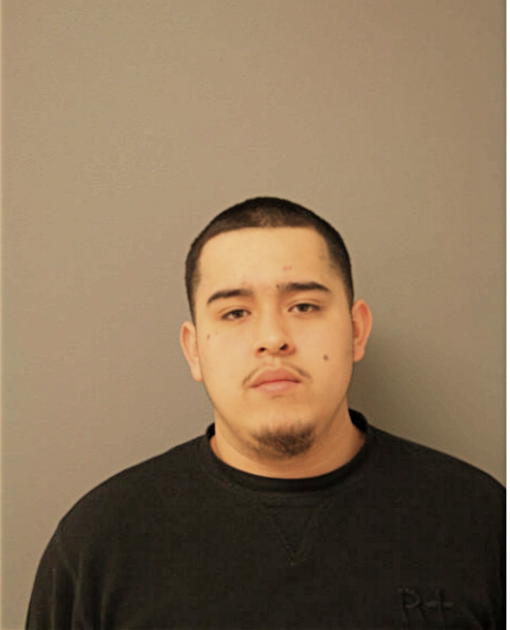 EDGAR M BADAJOS, Cook County, Illinois