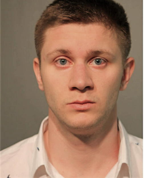 ANDREW B BERGER, Cook County, Illinois