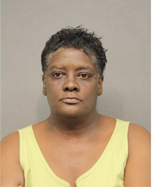 JANICE H BROWN, Cook County, Illinois