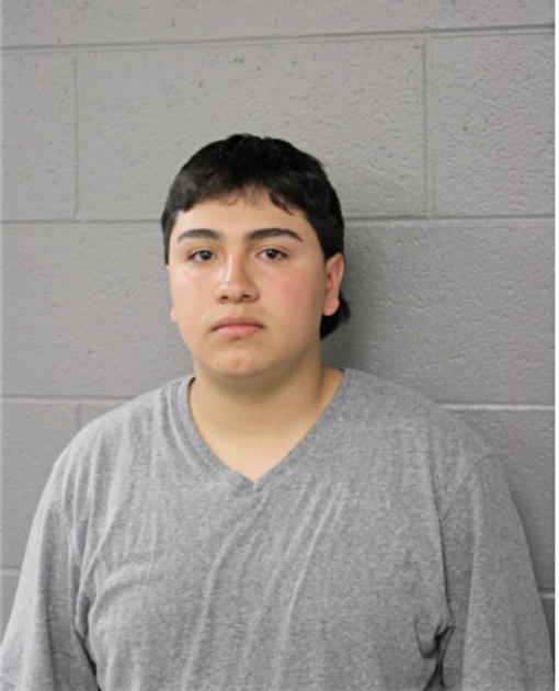 DIEGO CHAVARRIA, Cook County, Illinois