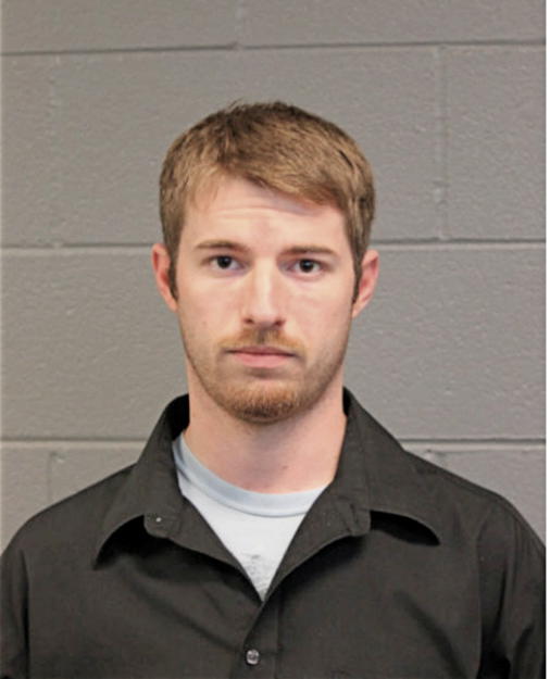 MICHAEL J DEVIVO, Cook County, Illinois