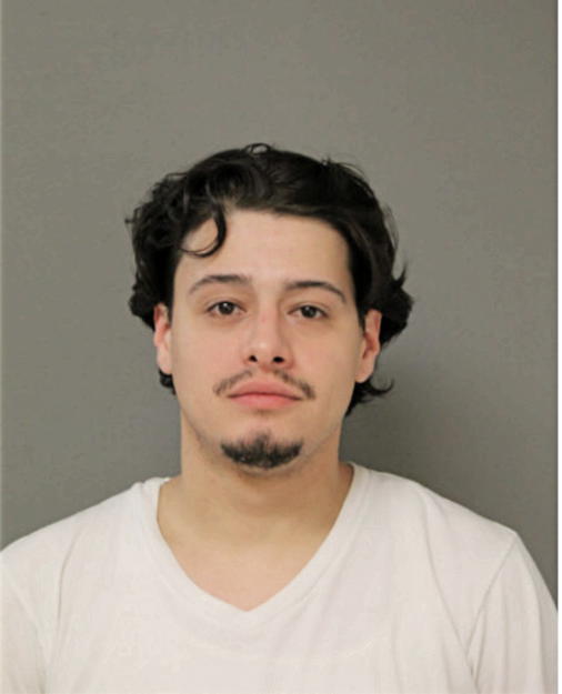 ISSAC ESTRADA, Cook County, Illinois