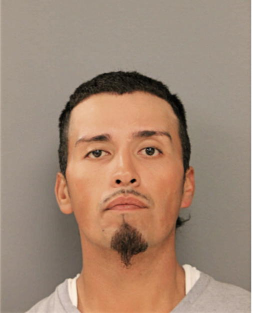 ALEJANDRO X FLORES, Cook County, Illinois