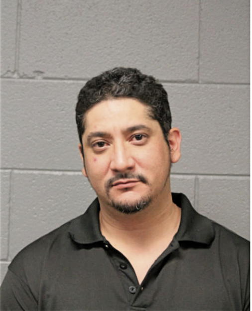 CARLOS FLORES, Cook County, Illinois