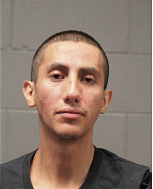 OSCAR FLORES, Cook County, Illinois