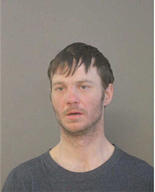 CHRISTOPHER L GREEN, Cook County, Illinois