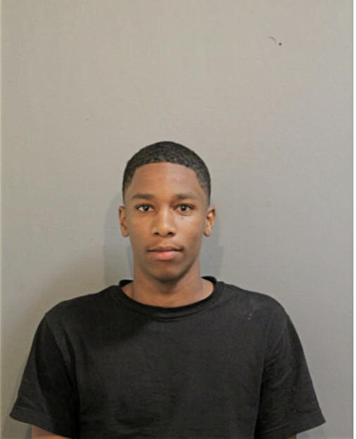 LEON HENRY, Cook County, Illinois