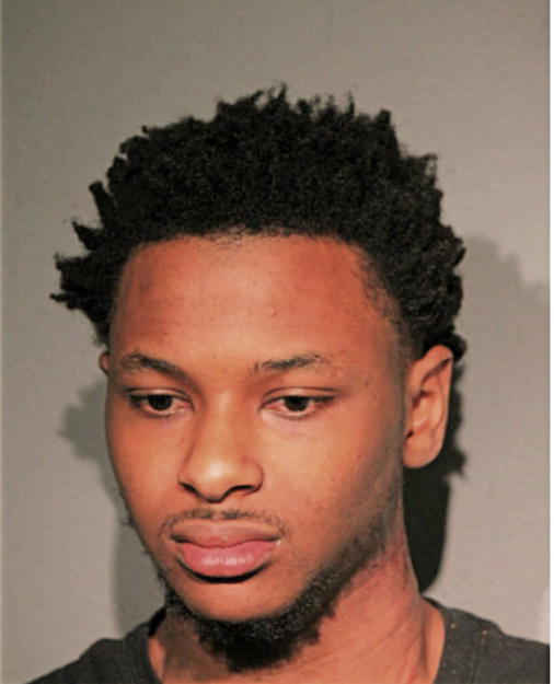 JOHNEL J HOLMES, Cook County, Illinois