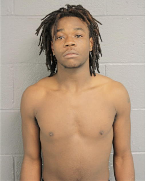 DEMARCO L JOHNSON, Cook County, Illinois