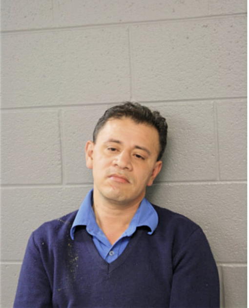 JOSE S LANDAVERDE, Cook County, Illinois