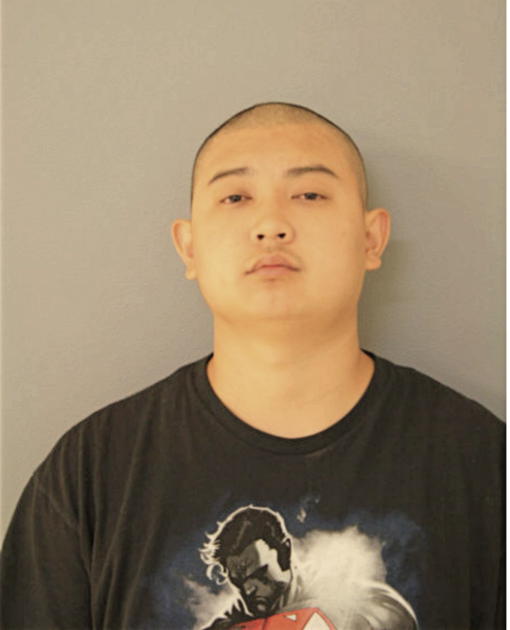 DAVID NGUYEN, Cook County, Illinois
