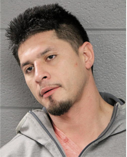 MARIO ORTEGA, Cook County, Illinois