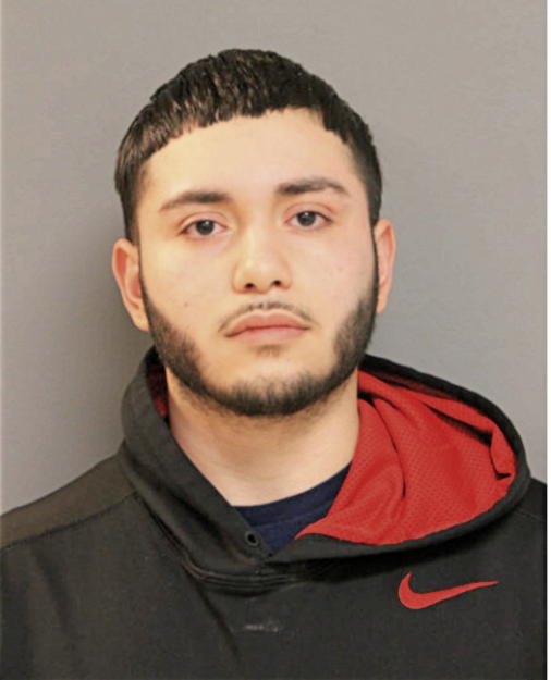 ALEX M PEDROZA, Cook County, Illinois