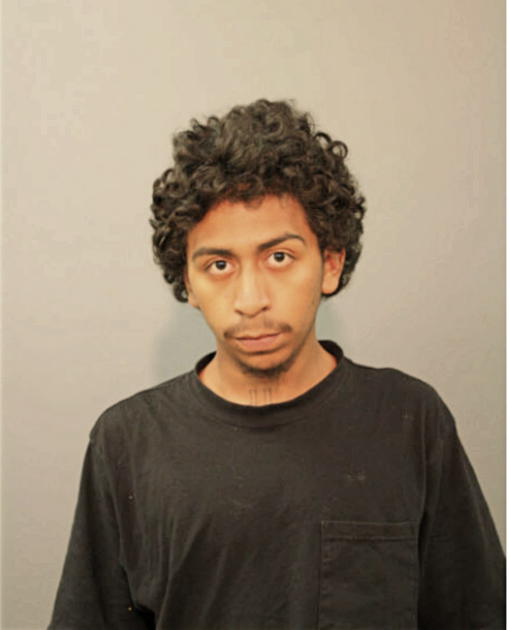 GEOVANI A RAMOS, Cook County, Illinois