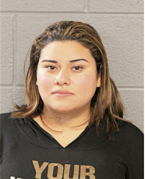 JOSEFINA REYES, Cook County, Illinois
