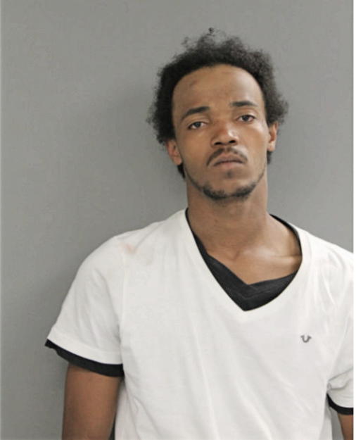 VINCENT R RIDDLE, Cook County, Illinois