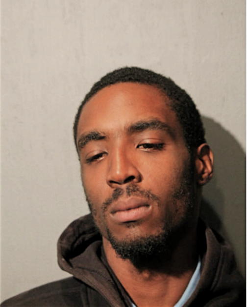 JEREMY R ROBINSON, Cook County, Illinois