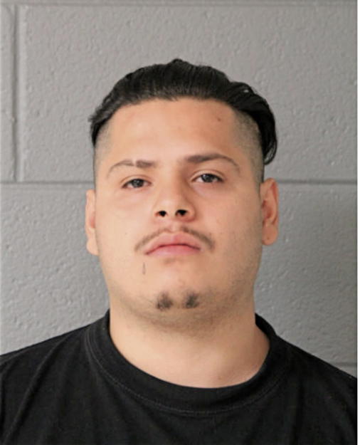 MANUEL D ROBLES, Cook County, Illinois