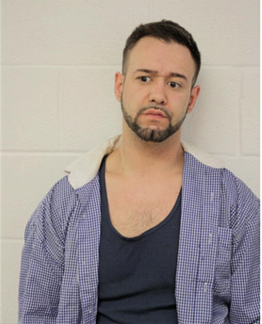 MANUEL A ROMAN, Cook County, Illinois