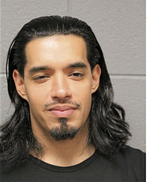 JUAN I SALINAS, Cook County, Illinois