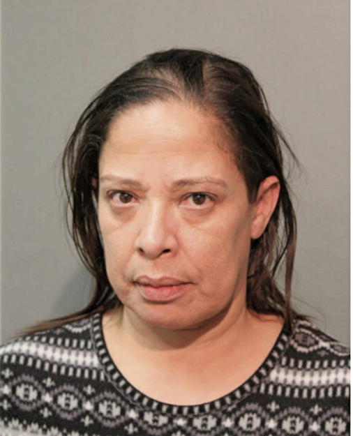 MIVIAN J SANCHEZ, Cook County, Illinois