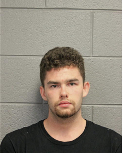 MICHAEL T STAPLES, Cook County, Illinois