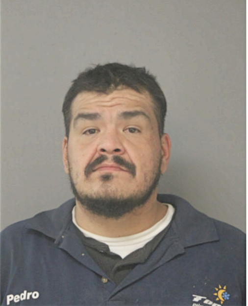 PEDRO TORRES-CHAVEZ, Cook County, Illinois