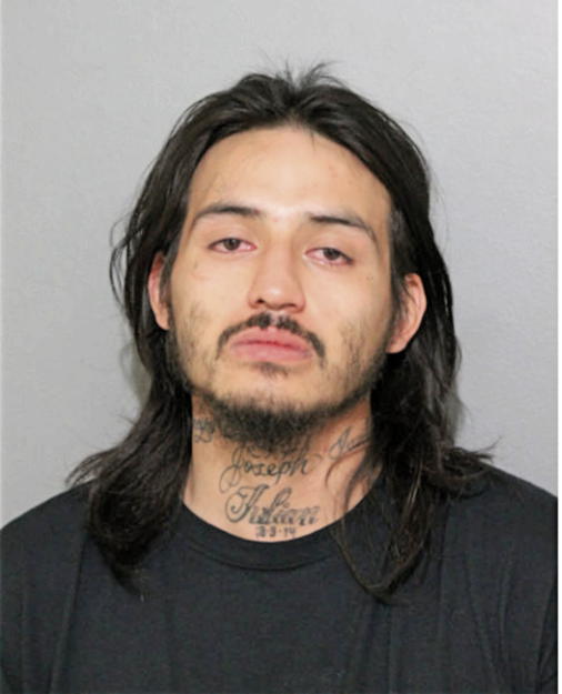 JULIAN A VELA, Cook County, Illinois