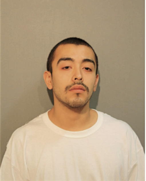 EMMANUEL O ZALDIVAR, Cook County, Illinois