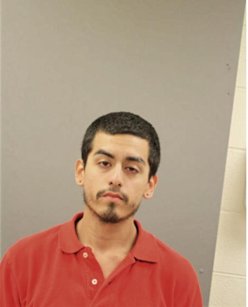 JOSUE O ARENAS, Cook County, Illinois
