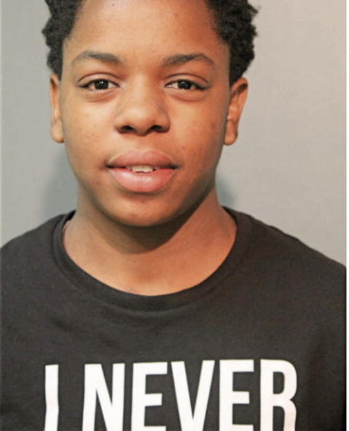 JESSICA L BROWN, Cook County, Illinois