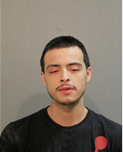 JORDAN M GARCIA, Cook County, Illinois