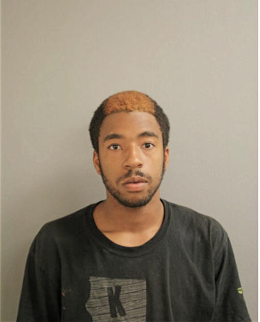 BRUCE B GERMAN JR, Cook County, Illinois