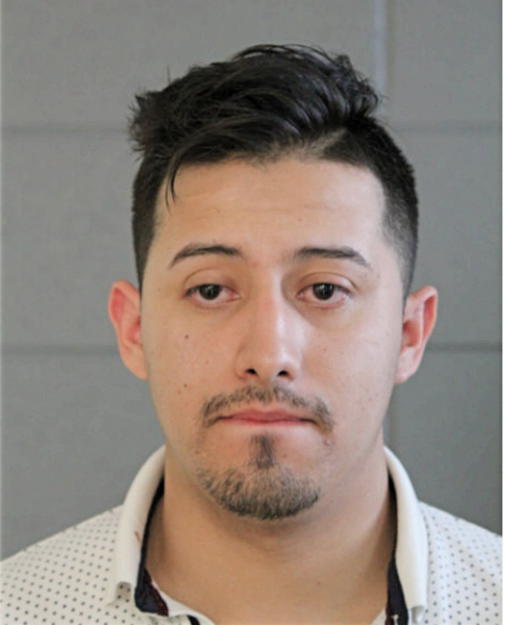 ALEJANDRO HERNANDEZ, Cook County, Illinois