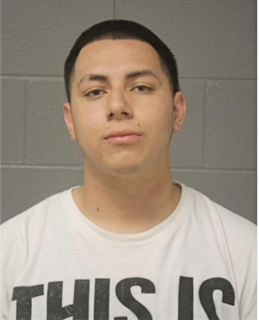 ALFONSO HERNANDEZ, Cook County, Illinois